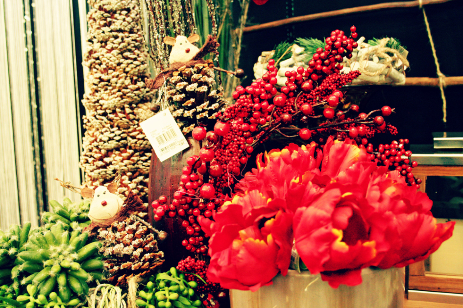 viveros murcia_3