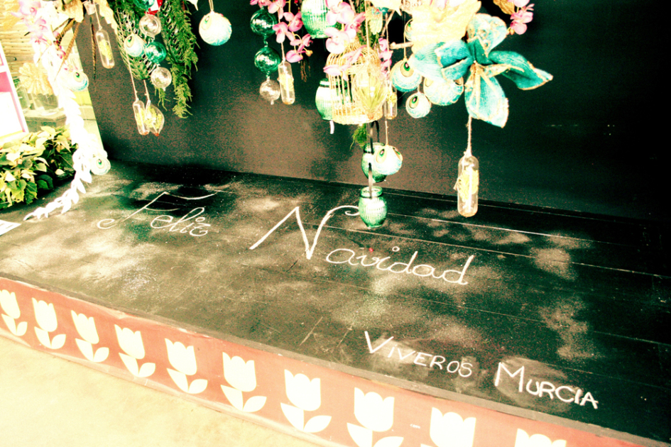 viveros murcia_22