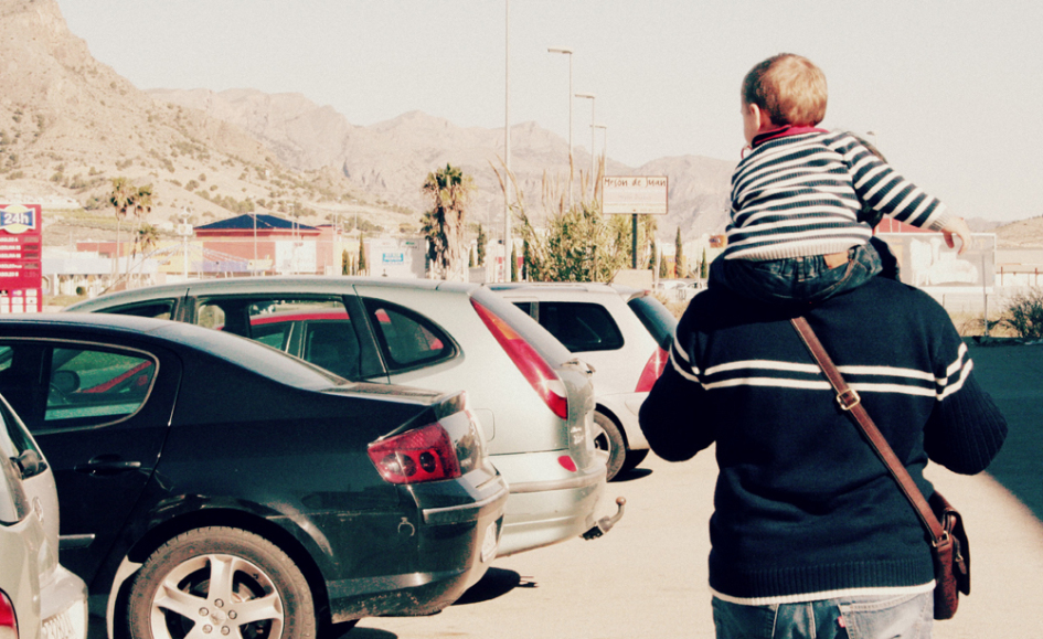 viveros murcia_24