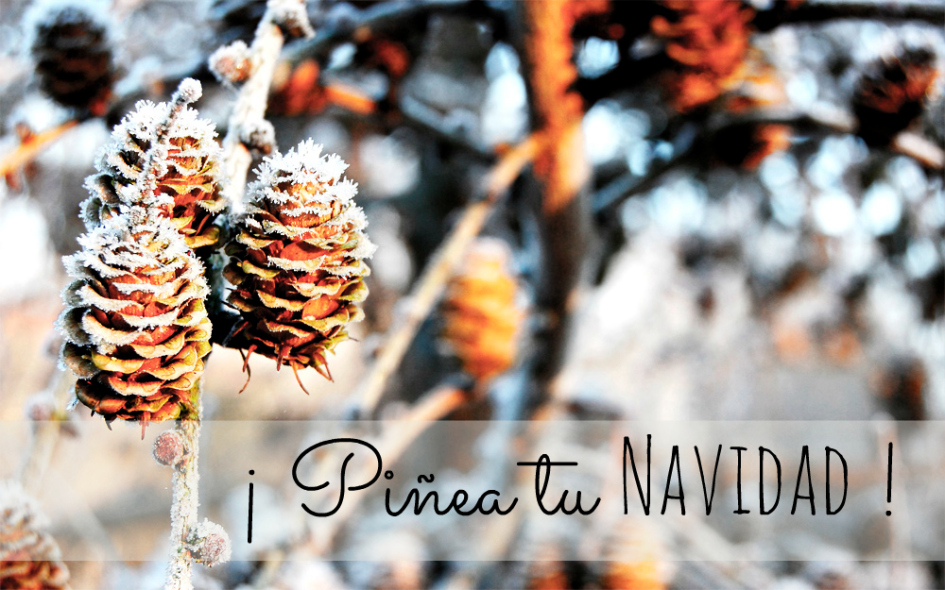 decorar con piñas la navidad_14