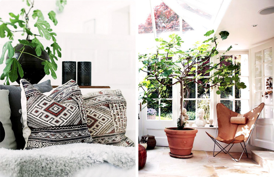 decoracion industrial-decorar con plantas- higueras-05