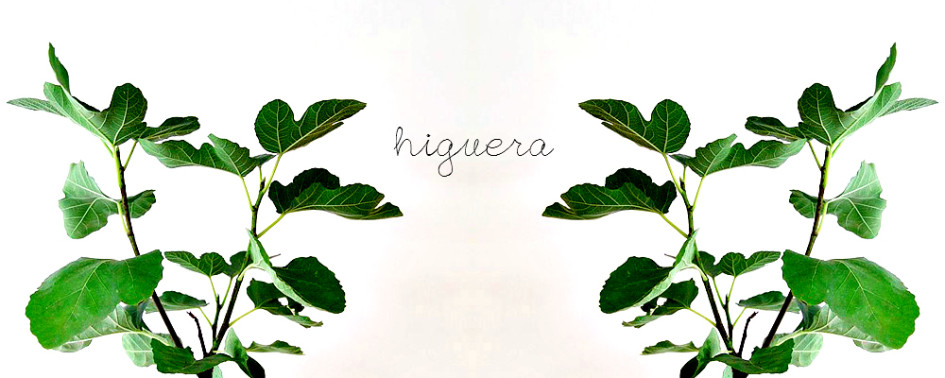 decoracion industrial-decorar con plantas- higueras